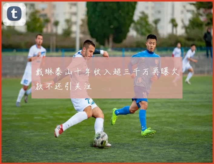 戴琳泰山十年收入超三千万再曝欠款不还引关注